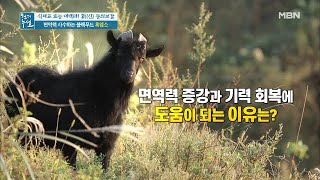 면역력과 기력 회복에 도움을 줄 식재료가 있다? '이것'의 정체는?