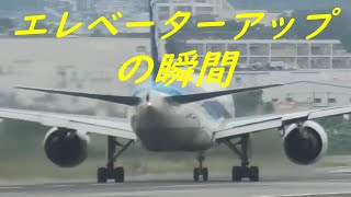 【 水平尾翼が上を向く機首上げの決定的瞬間 】伊丹空港