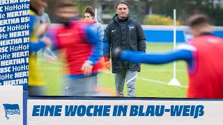 HaHoHe - Eine Woche in Blau-Weiß | 5. Spieltag | RB Leipzig vs. Hertha BSC