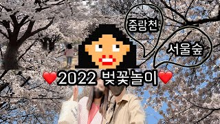 일상vlog | 벚꽃🌸| 벚꽃놀이(ft.서울숲, 중랑천)