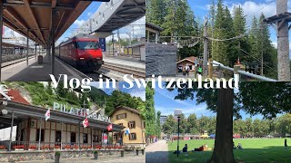 Switzerland Vlog | 2021 여름의 스위스는 어떨까 | 가진게 풍경 뿐인 브이로그 | 루체른 | 취리히 | 필라투스 산 | 토보건