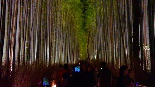 2019年嵐山花灯路 竹林ライトアップの風景 ☆12月19日(木)