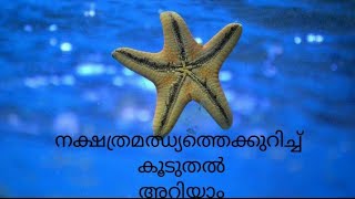 നക്ഷത്രമഝ്യത്തെക്കുറിച്ച് കൂടുതൽ അറിയാം.....seastars