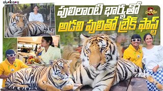 పులి లాంటి భార్యతో అడవి పులితో బ్రేక్ ఫాస్ట్ || Chantabbai || Rocking Rakesh || Strikers