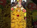 sri padmavathi devi panchami theertham at tiruchanur temple tirumalatirupatidevasthanam