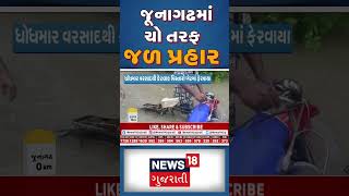 જૂનાગઢમાં ફાટ્યું આભ | Junagadh | Monsoon | Rain | Flood | News18 Gujarati #shorts