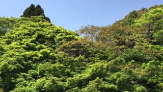 2016/05/01 大山崎山荘美術館