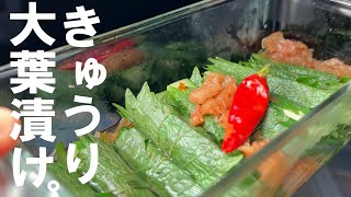 【爽やかに食欲増進】大葉と胡瓜の梅漬け。