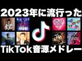 【TikTok】全部歌えたら依存性！？2023年に流行ったTikTok音源メドレー！【最後には・・・】