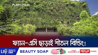 তীব্র দাবদাহেও যে বিল্ডিংয়ে প্রবেশ করলেই জুড়িয়ে যায় মন! | Rangpur Green Building | Jamuna TV