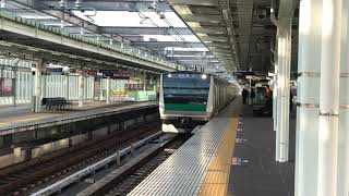 相鉄 【代走】 E233系7000番代の快速横浜行き 星川駅到着