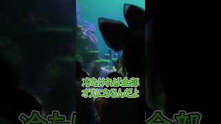 海亀の卵の秘密【タートルトーク】東京ディズニーシー