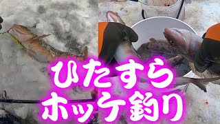 【釣り】ひたすらホッケ北海道・ホッケ狙い道中車内のテンションＵＰに♪