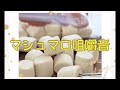 【咀嚼音】囁きながらマシュマロを食べる【eating sound】