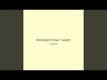 Moonlight Ember Twilight