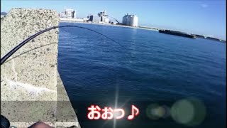 【11月上旬】☆北九州★空港方面・ちょい投げ・探索の様子です♪