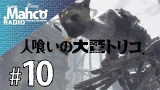 【PS4Pro】実況#10.『人喰いの大鷲トリコ』大鷲の秘密。【The Last Guardian】