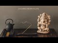 Indian Flute | Bansuri Music | Healing Mood