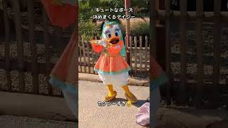 #shorts　アラビアンデイジーが可愛すぎる件💕ディズニーシー　【気ままに大人ディズニー】