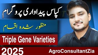 Approved Triple Gene Cotton Varieties in Pakistan 2025.