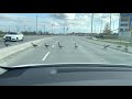 smart canada goose crossing road traffic jam on highway where canada geese go in winter