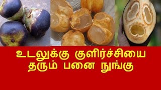 உடலுக்கு குளிர்ச்சியை தரும் பனை நுங்கு