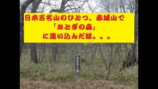 【恐怖!?ロマン!?】日本百名山のひとつ、赤城山で「おとぎの森」に迷い込んだ話。。。