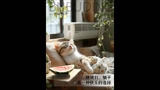 夏天就要吃西瓜吹空调，小猫咪的快乐谁懂啊 #cat #cutecat  #breakingnews #howdoimakeyouloveme #pets#summer