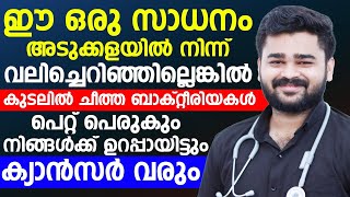 കുടലിൽ ചീത്ത ബാക്ടീരിയകൾ പെറ്റ് പെരുകും അടുക്കളയിൽ നിന്നും ഈ സാധനങ്ങൾ ഒഴിവാക്കിയില്ലങ്കിൽ