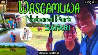 Wasgamuwa National Park Sri Lanka | Wildlife Safari with angry elephants