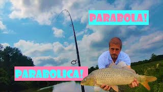 Tamiška rapsodija ne prestaje - Šaranski ribolov | Wild carp fishing - Tamis river