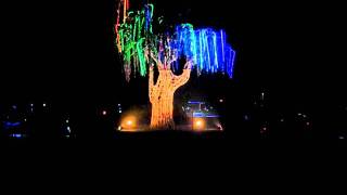 Color Tree