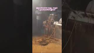 இந்த குழந்தைகளுக்கு ஒரு வாழ்த்து சொல்வோம்