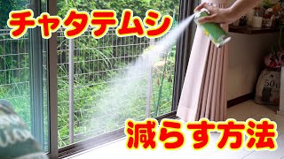 【チャタテムシ対策】天然成分の除虫菊から抽出した成分で作った安全性の高いムシロックスプレー。チャタテムシ チョウバエ タカラダニ 天然除虫菊成分オーガニック工場 和室 キッチンで安心して使えます