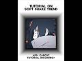 Soft Shake Tutorial CapCut