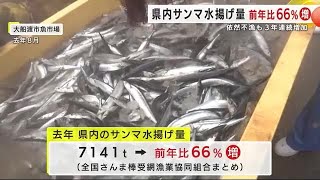 岩手県内サンマ水揚げ量　前年比６６％増　依然不漁も３年連続増加　漁港別では大船渡が本州トップ (25/01/08 21:55)