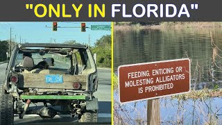 “Only In Florida” Unhinged Things People Witnessed Happening In The Sunshine State | Humor Sweet