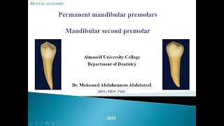 Dental anatomy (Mandibular second premolar)  Lec. 10