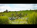 indunil gangulal karaoke without voice ඉඳුනිල් ගඟුලැල් සිහිලෙන් සැරසූ