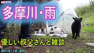 【多摩川猫・雨の中雑談】優しい叔父さんと・・【火曜日・置き餌ダメﾃﾞｽ】