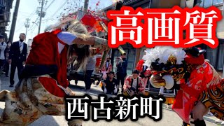 【高画質】西古新町獅子方若連中　（テレビ画面用）