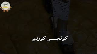 بەرهەمی کونجی کوردی