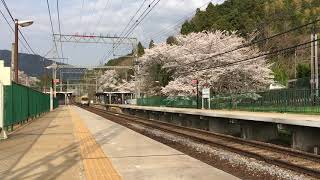 近鉄大阪線 桜の長谷寺駅 大阪難波行特急伊勢志摩ライナー通過