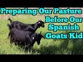 Getting Things Ready Before The Baby Spanish Goats Arrive