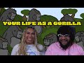 Your Life As A Gorilla | James Toland Reaction