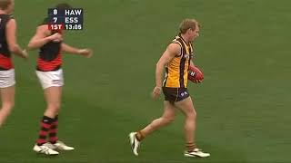 AFL 2009 Round 22 Hawthorn vs Essendon