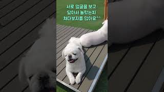 둘이 싸웠니?ㅋㅋ