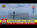 男挑戰綠島游回台灣失敗 驚喜巧遇海豚【最新快訊】