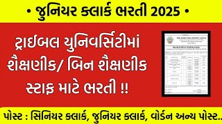 ટ્રાઈબલ યુનિવર્સિટીમાં જુનિયર ક્લાર્ક ભરતી || શૈક્ષણીક સ્ટાફ ભરતી || સરકારી || ગુજરાતી || શિક્ષક ||