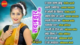 CG  Songs CG गीत /Sada Bahar Chhattisgarhi Geet /सदा बहार छत्तीसगढ़ी गीत  [Audio jukebox Songs  2023]